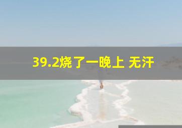 39.2烧了一晚上 无汗